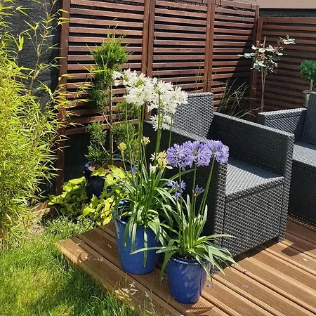 La Maison Bleue, A 20 Mn De Strasbourg, Sur La Route Des Vins, Jusqu'a 6 Personnes, Sélestat