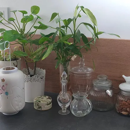 La Maison Bleue, A 20 Mn De Strasbourg, Sur La Route Des Vins, Jusqu'a 6 Personnes, * Sélestat