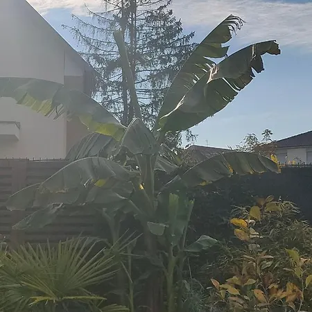 La Maison Bleue, A 20 Mn De Strasbourg, Sur La Route Des Vins, Jusqu'a 6 Personnes, * Sélestat